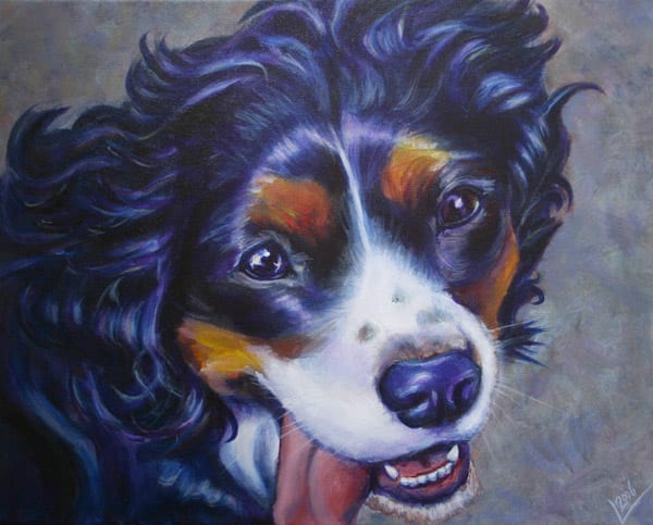 Portrait painting of Oscar, a Bernese mountain dog with a wavy black coat