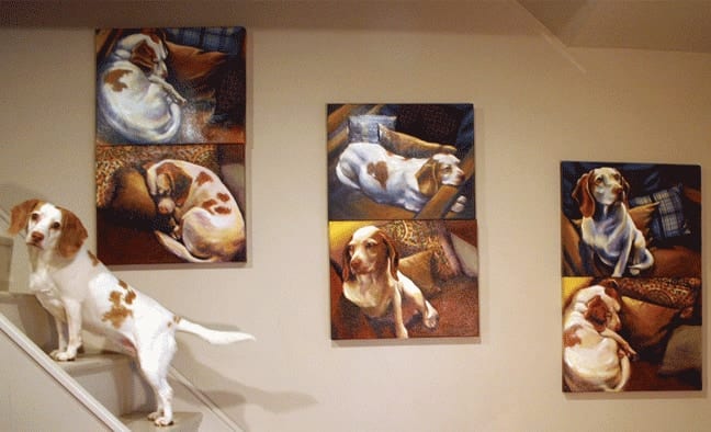 Gallery installation of the Stray Thoughts paintings with a beagle walking past them