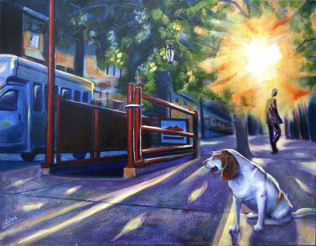 Lyla-belle the beagle near a city bus stop as the sun sets at twilight